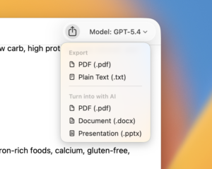 Export conversation dialog in Fello AI